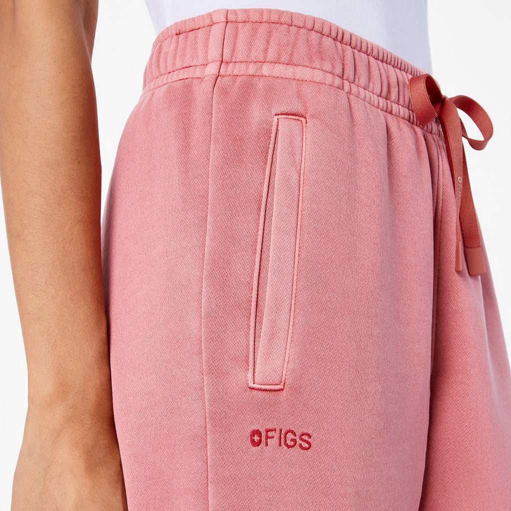 Hayden Vintage Wash Jogger Sweatpants - Berrywood