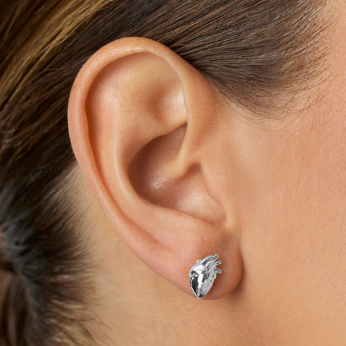 Anatomical Heart Stud Earrings - Silver