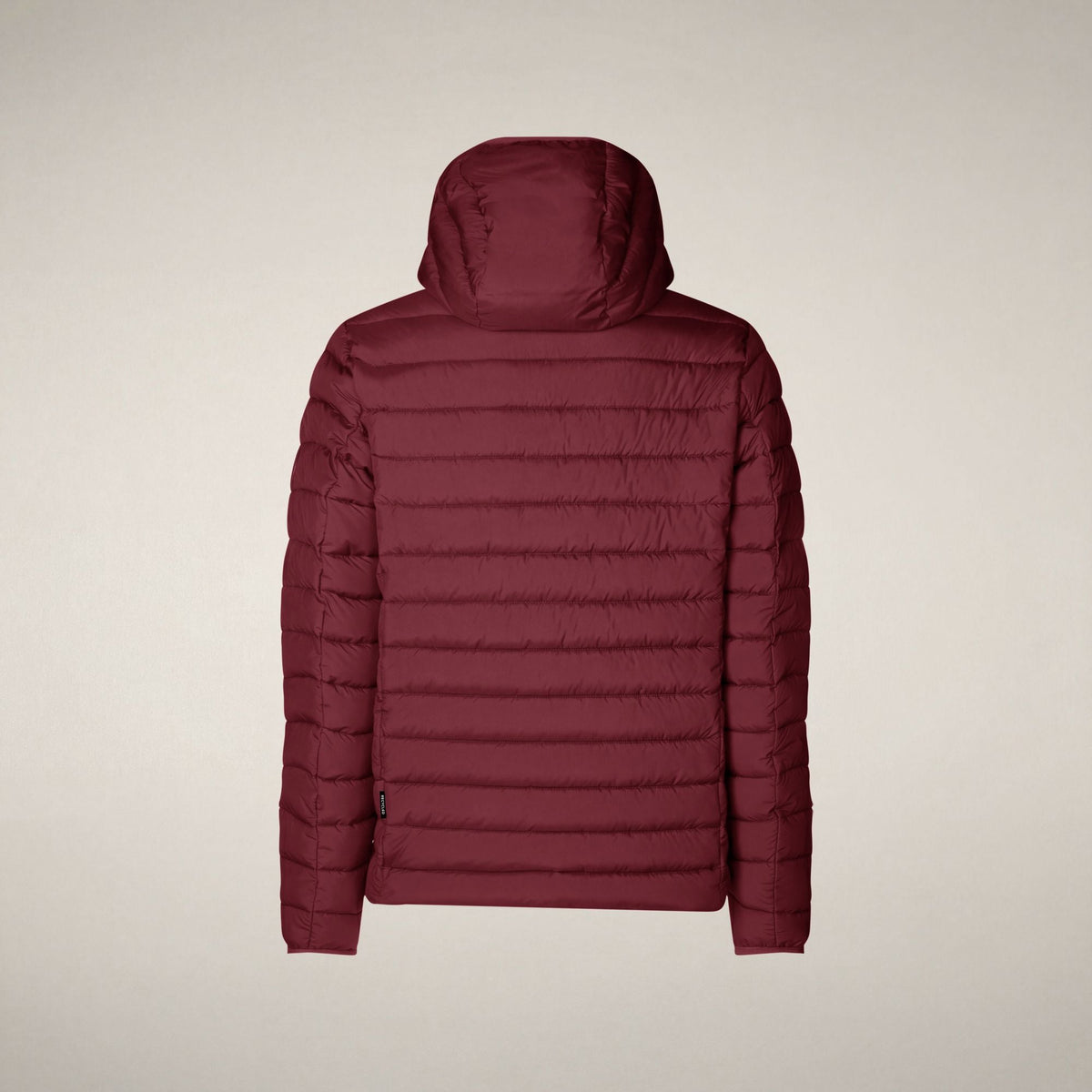 Men's Puffer Jacket Juncus in Wine Red
