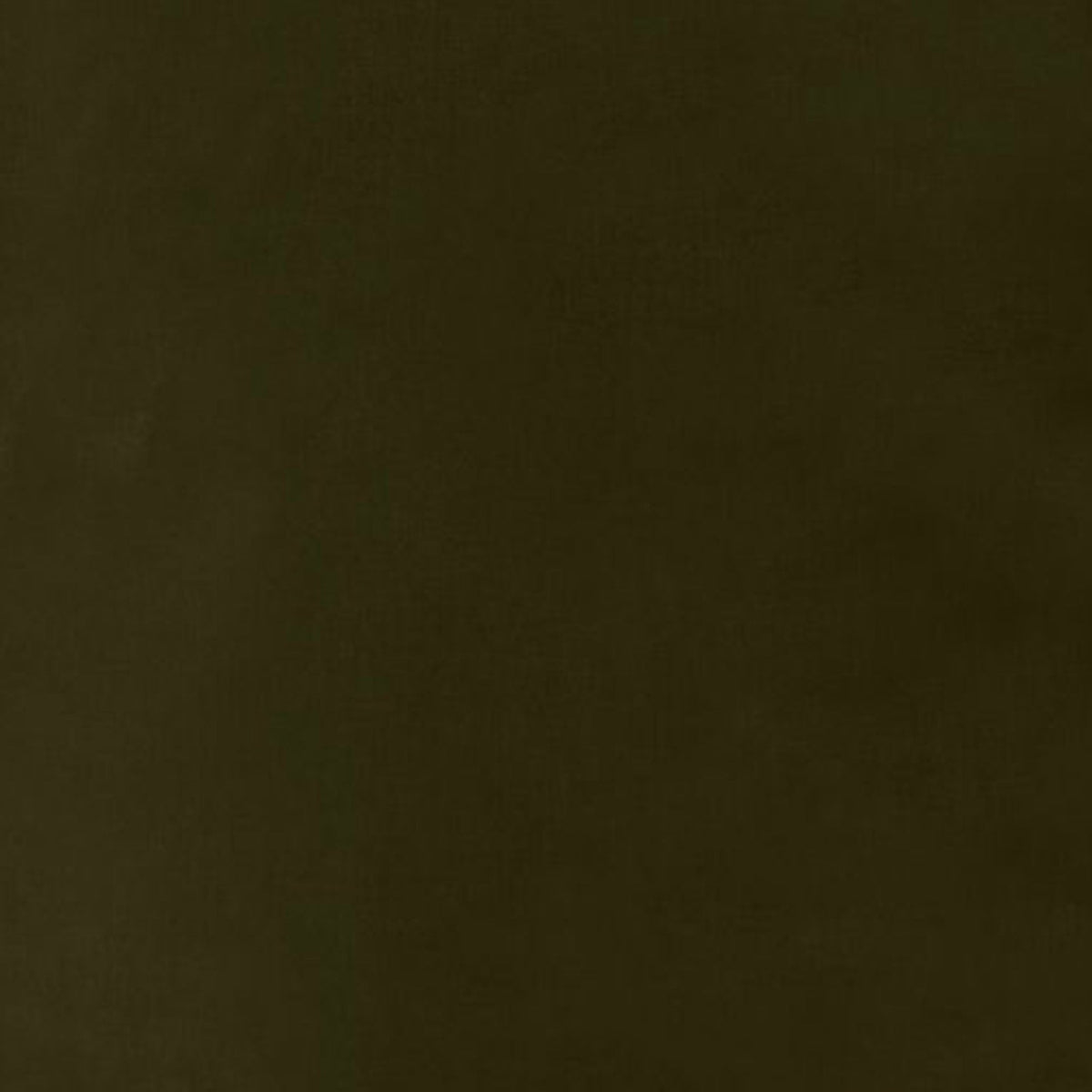 Women's Jacket Portia in Land Green