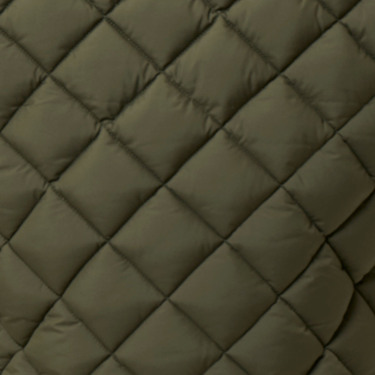 Men's Puffer Vest Fabrice in Snake Green
