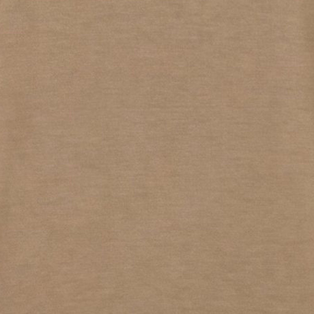 Women's Crewneck Sweatshirt Akemi in Biscuit Beige