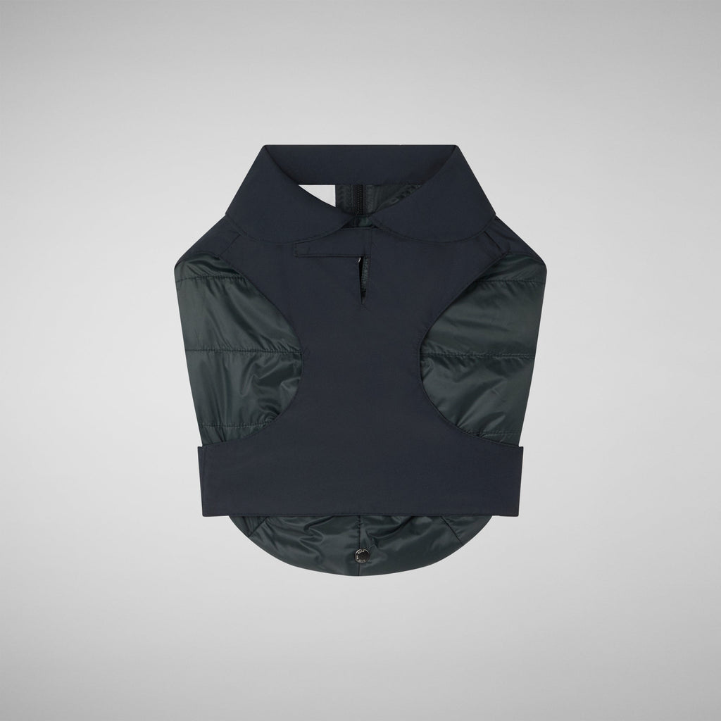 Unisex dog vest Rex in black and lining green