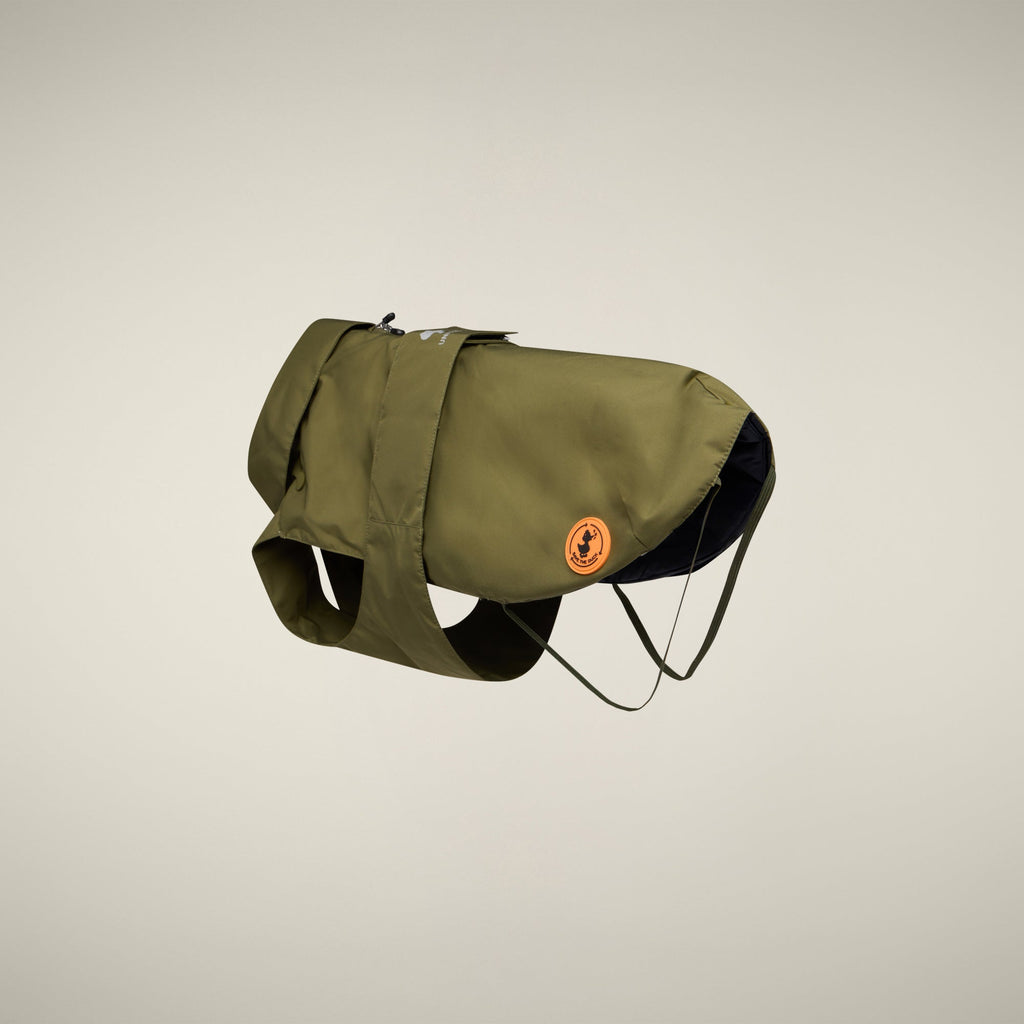 Unisex dog vest Rex in dusty olive