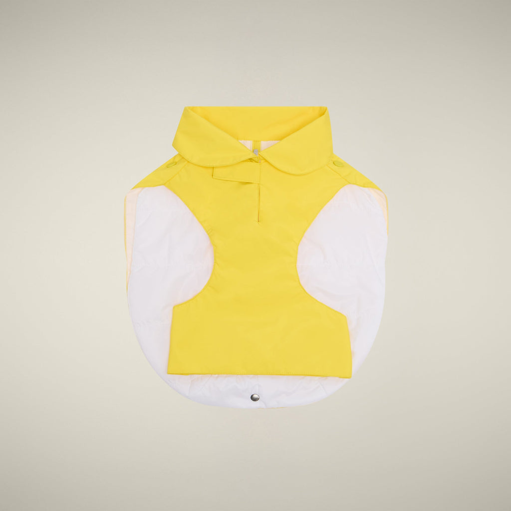 Unisex dog vest Rex in yellow