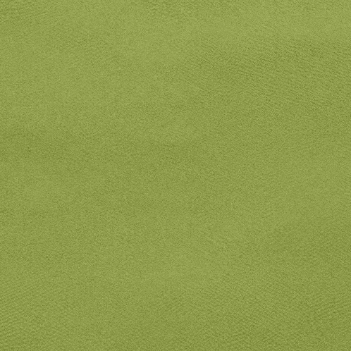 Unisex pouch Remy in Citron Green