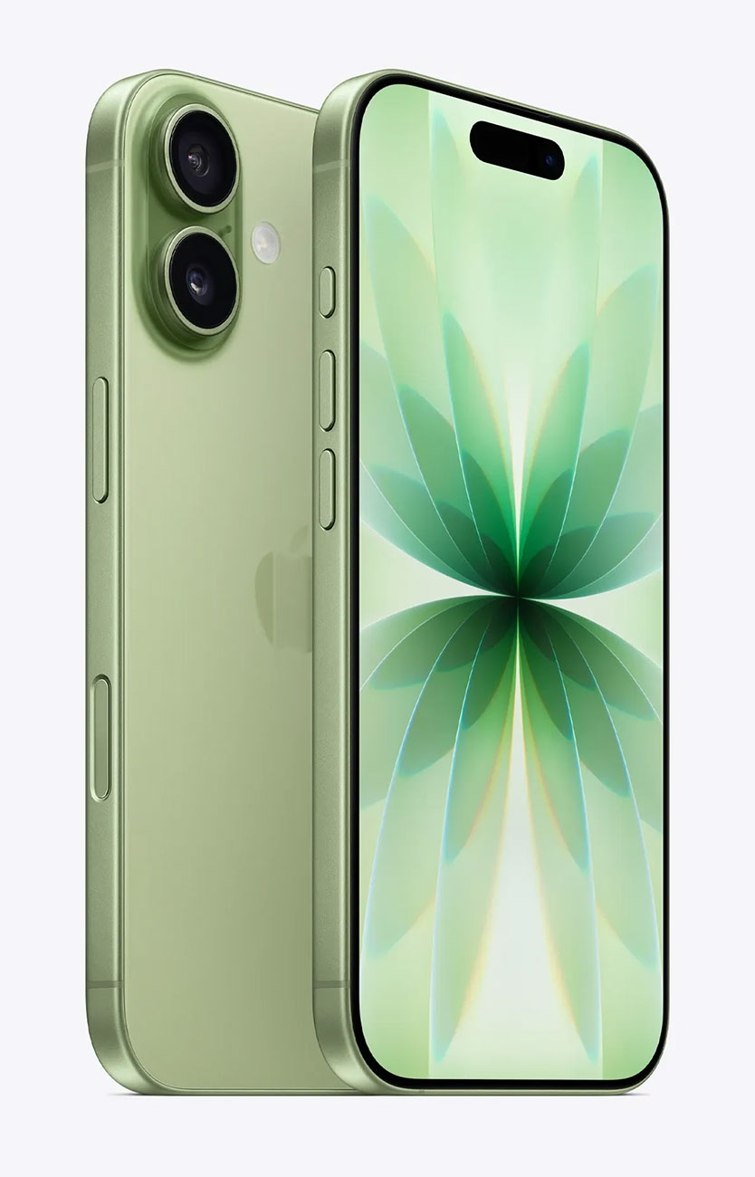 Apple iPhone 17 256GB in Sage - MG4A4LL/A & 6066F - image 2