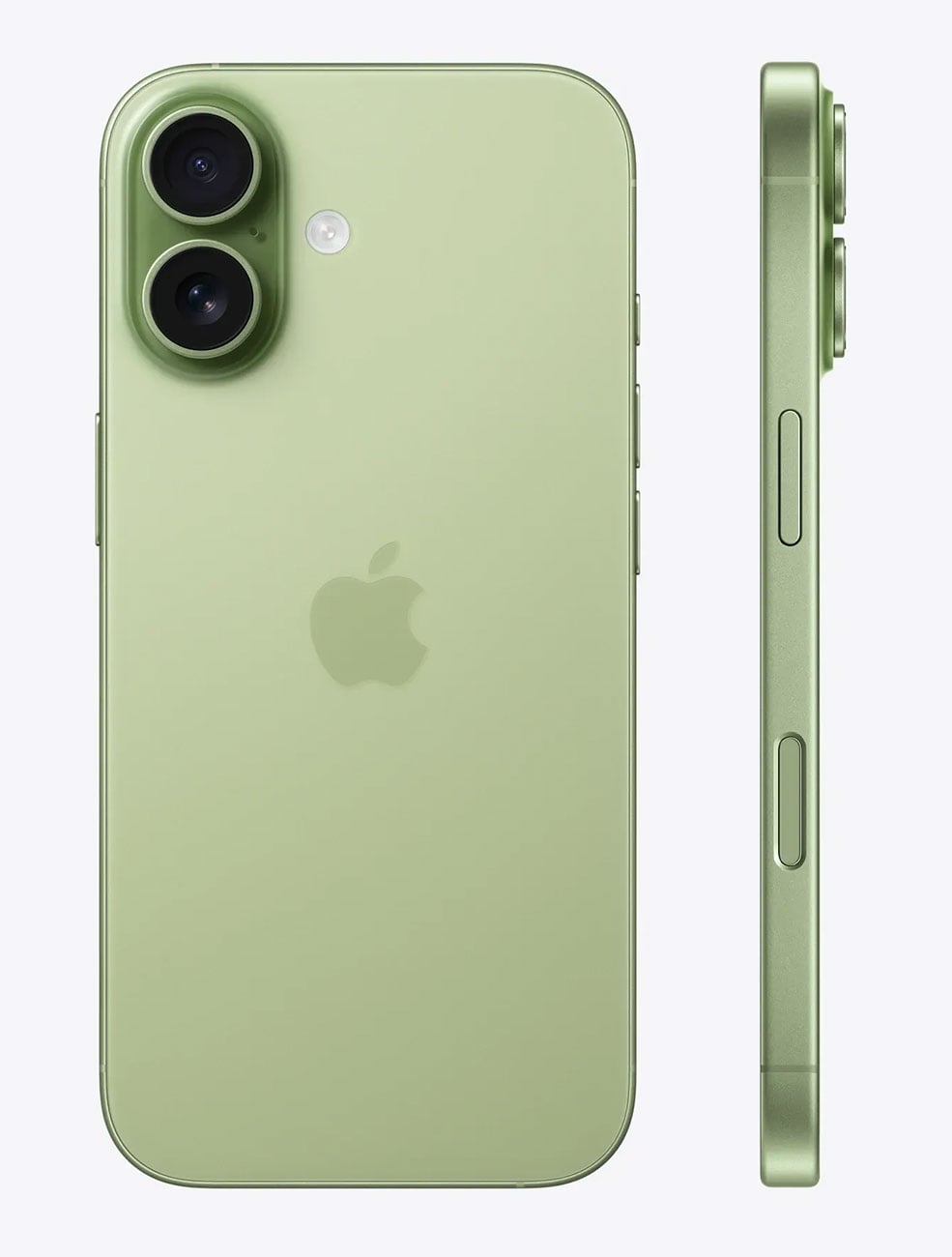 Apple iPhone 17 256GB in Sage - MG4A4LL/A & 6066F - image 3
