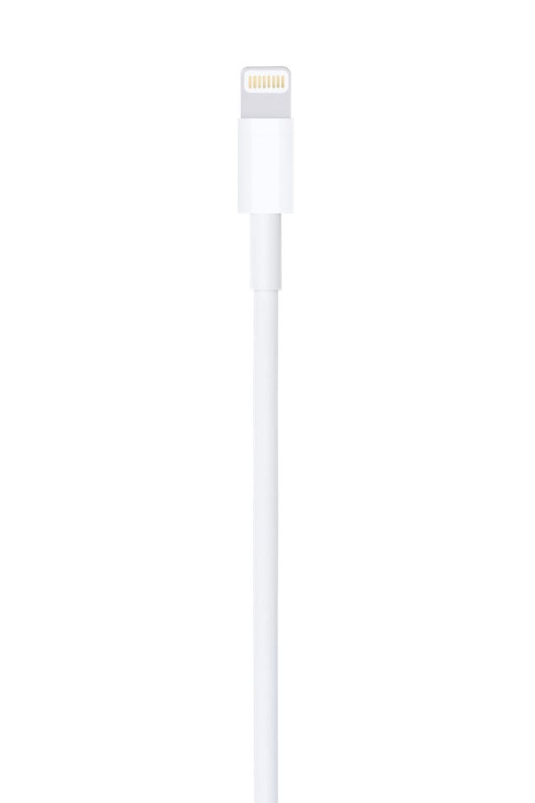 Apple 1 Meter (3.3 Foot) Lightning to USB Cable - MUQW3AM/A - image 3