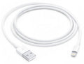 Apple 1 Meter (3.3 Foot) Lightning to USB Cable - MUQW3AM/A - image 1