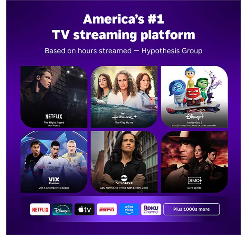 Roku Streaming Stick HD - 3840R - image 5